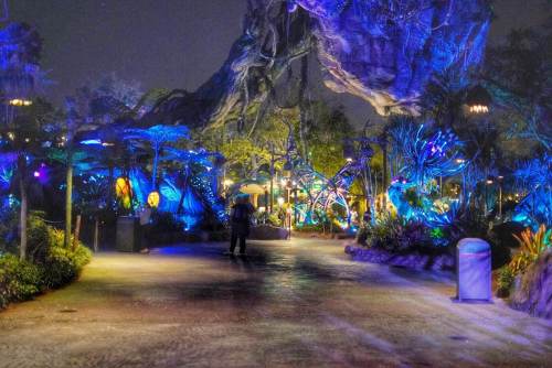 AFTER HOURS AT DISNEY'S ANIMAL KINGDOM REVIEW