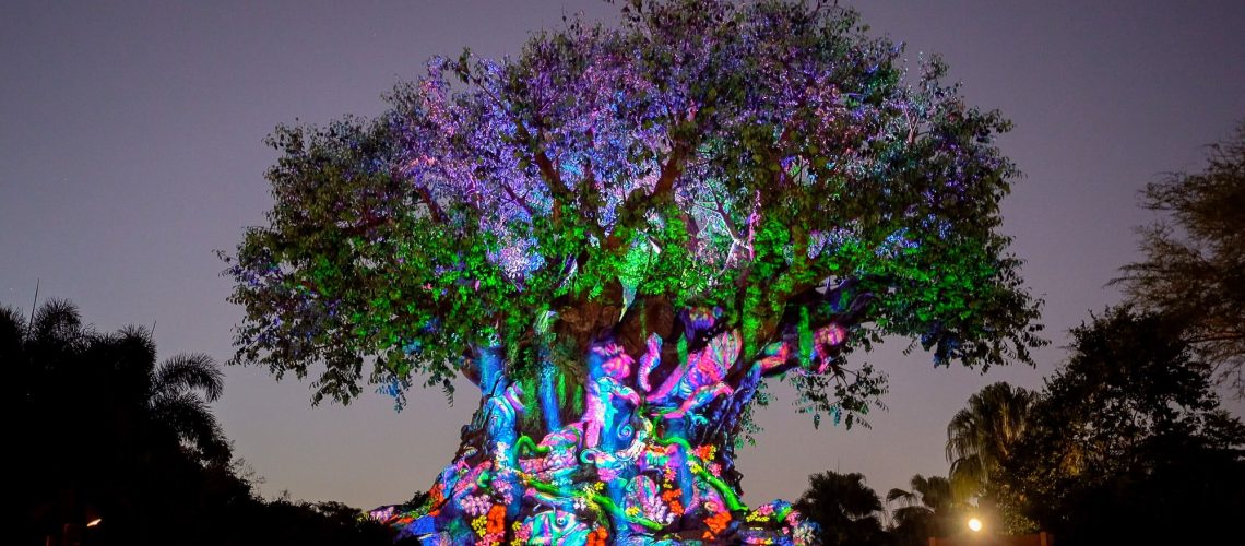 tree-life-beacon-magic-50th-anniversary-header-1.jpg
